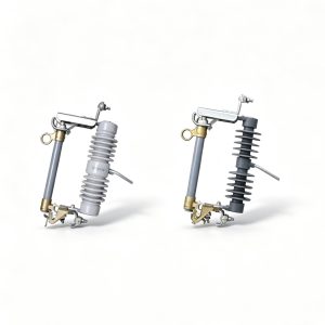 （ H) RW-12 Drop type fuses